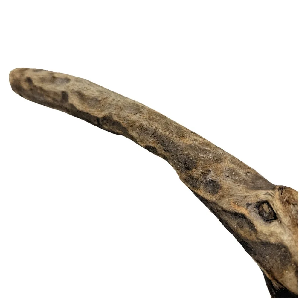 Bent California Driftwood with Burnt Patina & Natural Bend – Sculptural Wood